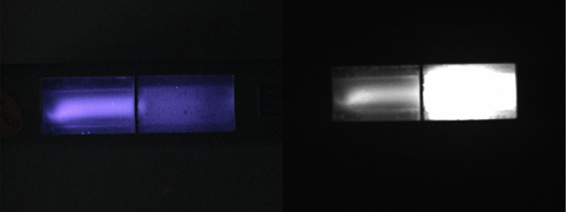 Raytech UV Lamp.